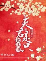 夫君是只狐狸精短剧免费观看