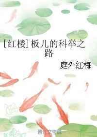 红楼梦里的板儿是谁是孩子