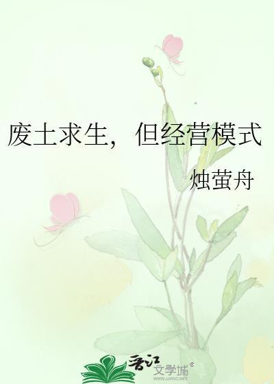 但经营模式TXT