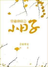穿越种田之小日子txt微盘
