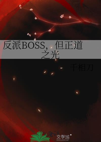 反派boss但正道之光
