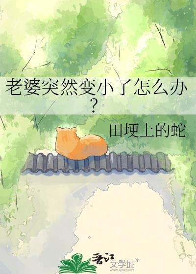 我老婆变小了