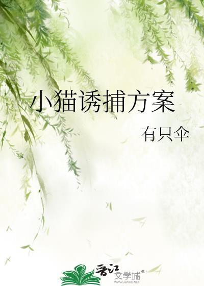 诱捕小野猫