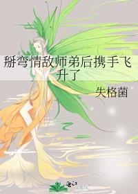 情敌掰弯攻略