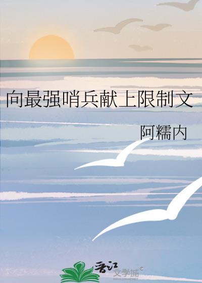 强强哨兵向导文