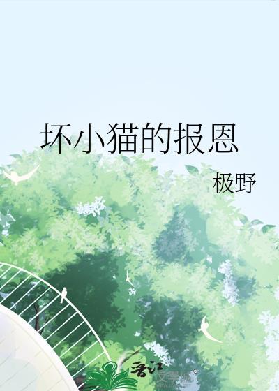 坏猫咪咪读后感