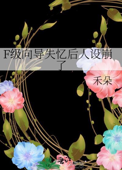 f级向导漫剧 百度